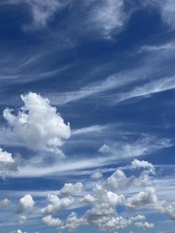 青空と雲b 青空と雲bの写真