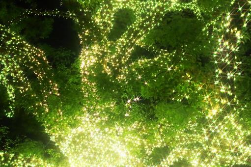 木に飾り付けられた電飾 木,幻想的,風景の写真素材