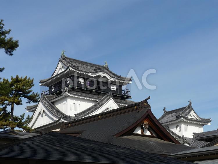 日本100名城のひとつ岡崎城の天守閣② 岡崎城,天守閣,日本100名城の写真素材