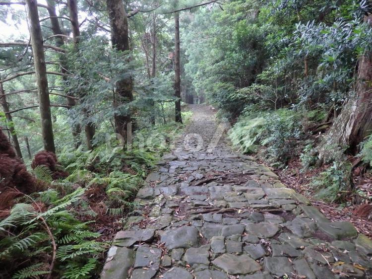 和歌山県　熊野古道 風景,景色,道路の写真素材