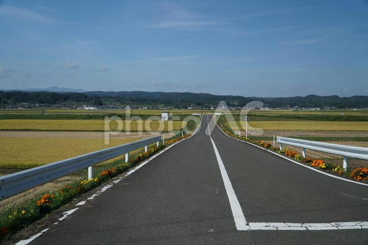 田園地帯の一本道 田んぼ,田舎,道路の写真素材