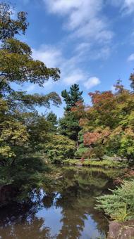 甘泉園公園 日本庭園,和風庭園,庭園の写真素材