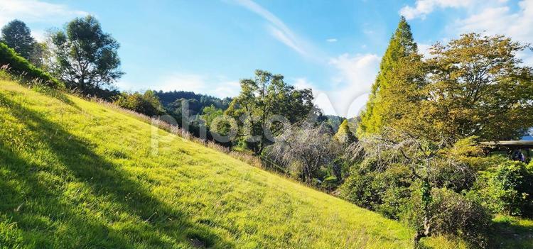 登山途中の風景 登山,山登り,風景の写真素材