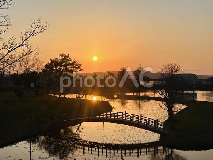 公園の夕日 夕方,公園,夕日の写真素材