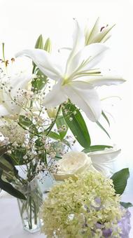 白百合と白あじさいA 白百合と白あじさいA ゆり,あじさい,てっぽうゆりの写真素材