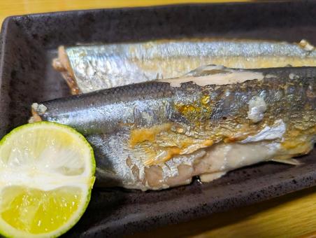 秋刀魚 秋刀魚 魚,食べ物,秋刀魚の写真素材
