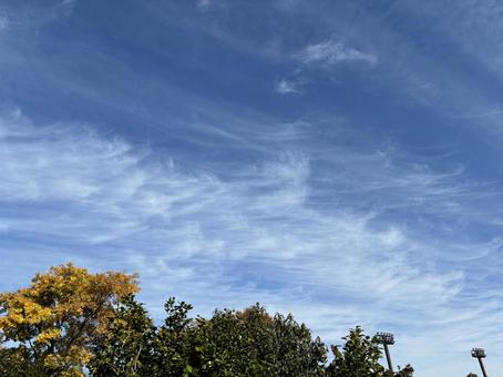 Photo, sky, cloud, cirrus clouds, 
