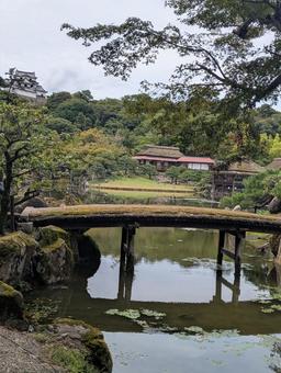玄宮園 玄宮園 玄宮園,彦根城,風景の写真素材