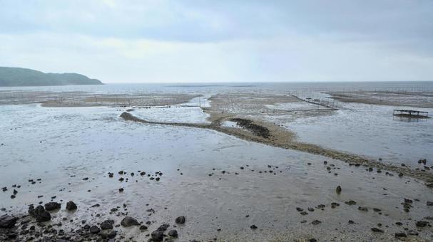 Walking along the tidal flats, JPG