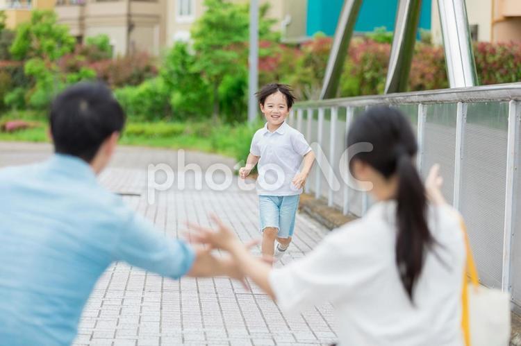 走って親に抱きつく男の子 人物,家族,女性の写真素材