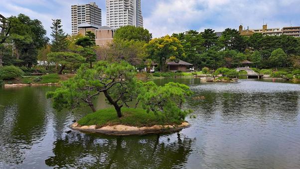 広島　縮景園の風景 縮景園,広島市,名勝の写真素材