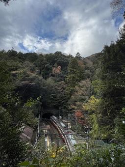 箱根 箱根,緑,雲の写真素材