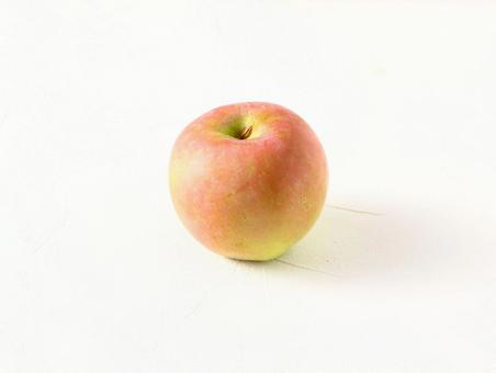 りんご_白背景 りんご,リンゴ,林檎の写真素材
