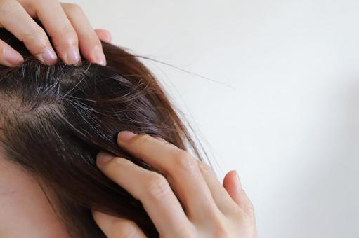 白髪 ヘアケア 白髪 ヘアケア 白髪,老化,年齢の写真素材