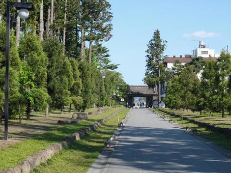 境内 境内,松島,背景画の写真素材