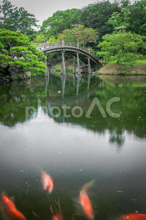 栗林公園の風景 栗林公園,風景,景色の写真素材