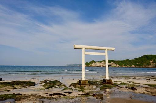 鵜原海岸 鵜原海岸の写真