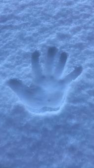 雪模様 雪模様の写真