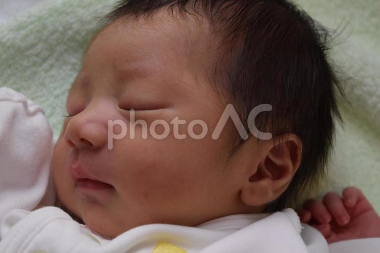 生後2日の眠る赤ちゃん(男児)　産院 赤ちゃん,新生児,男児の写真素材