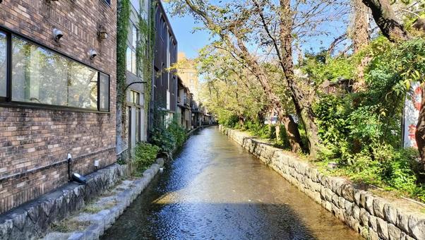 京都 川 京都,川,高瀬川の写真素材