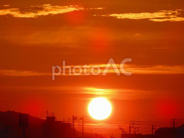 7月下旬の野田池の朝焼け 背景,朝焼け,日の出の写真素材