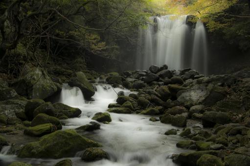 滝 滝の写真