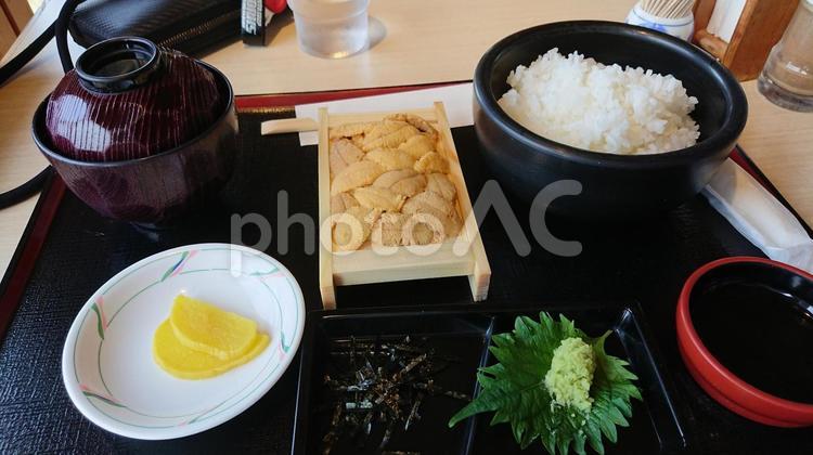 うに丼 うに丼,ウニ丼,うにの写真素材