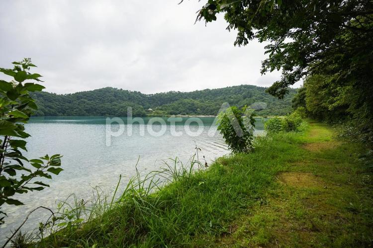 沼　湖　公園　岸　　 沼,湖,公園の写真素材