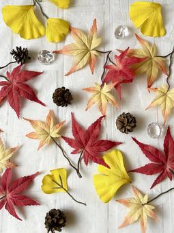 秋の風景・松ぽっくりと紅葉イメージの壁紙 秋の風景・松ぽっくりと紅葉イメージの壁紙 秋,壁紙,コピースペースの写真素材