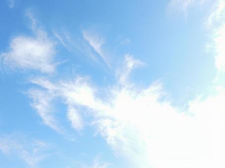 【空の写真】秋空 【空の写真】秋空 秋空,空,雲の写真素材