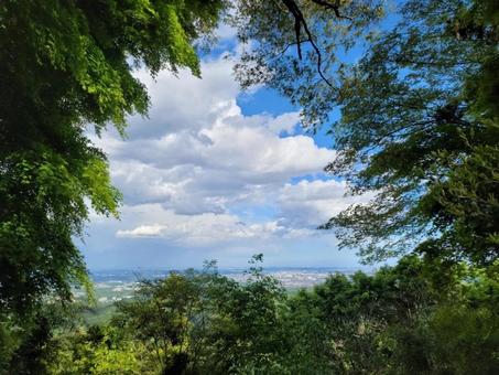 山の散歩 山の散歩の写真