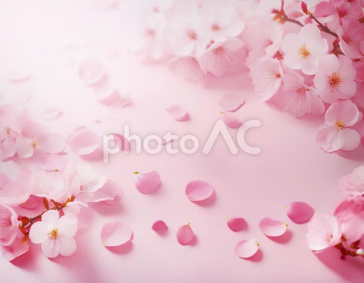 さくらの背景 1 さくら,桜,春の写真素材