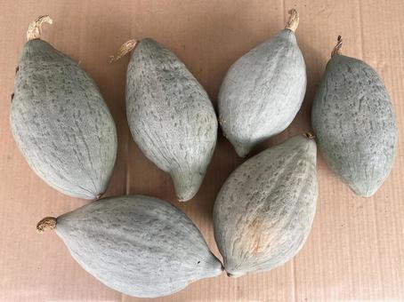 カボチャ カボチャ カボチャ,野菜,段ボールの写真素材
