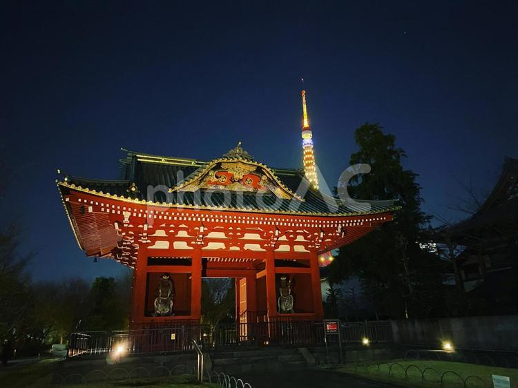 芝公園　増上寺と東京タワー 仏教寺院,景色,美しいの写真素材