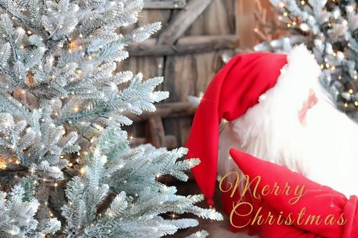 クリスマスツリーとサンタクロース クリスマス,サンタクロース,クリスマスツリーの写真素材