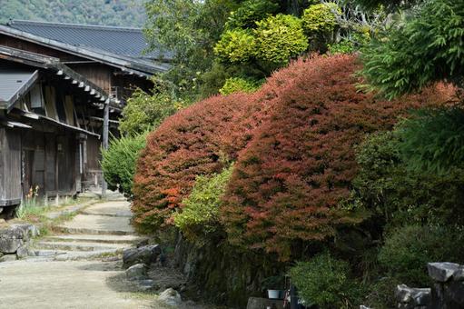 妻籠宿 紅葉,晩秋,風景の写真素材