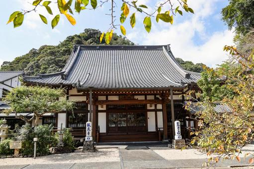 有田 報恩寺 有田 報恩寺 慈雲山,報恩寺,釈迦牟尼佛の写真素材