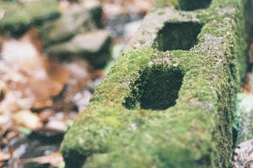 苔ブロック 苔ブロックの写真