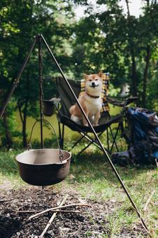 焚き火台と犬 犬,チェア,お座りの写真素材