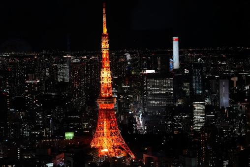夜空に映える東京タワー 東京タワー,夜景,高層ビルの写真素材