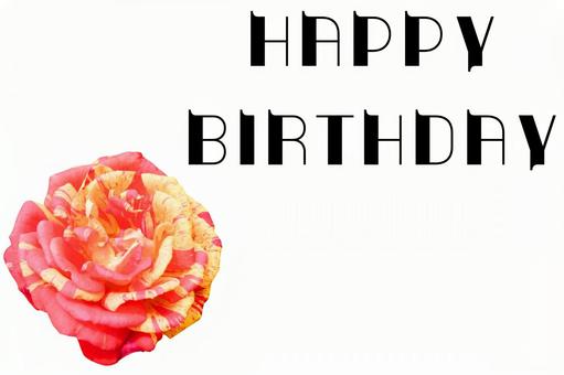 バースデーのテクスチャ(バラ) バースデーのテクスチャ(バラ) バラ,誕生日,バースデーの写真素材