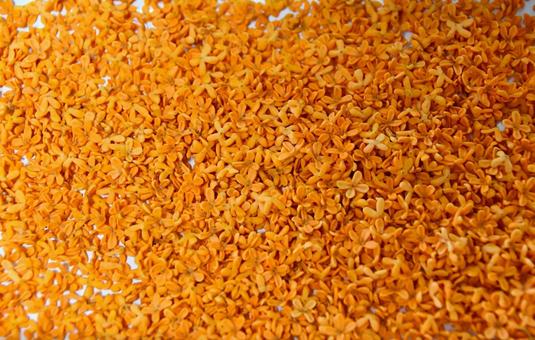 キンモクセイの花 キンモクセイ,花,オレンジの写真素材