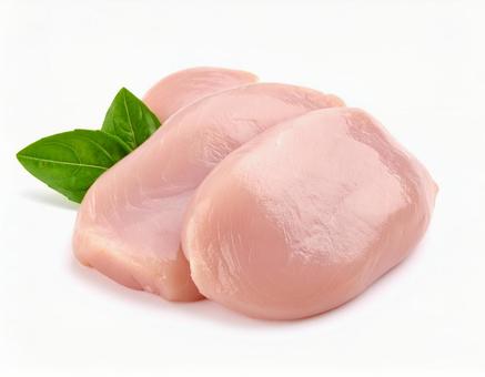 白い背景に鳥の胸肉 白い背景に鳥の胸肉の写真