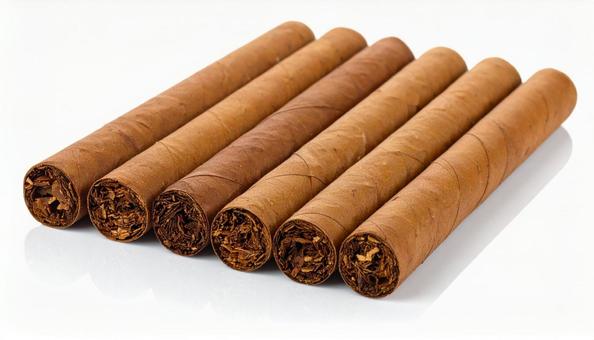 葉巻　白背景の写真