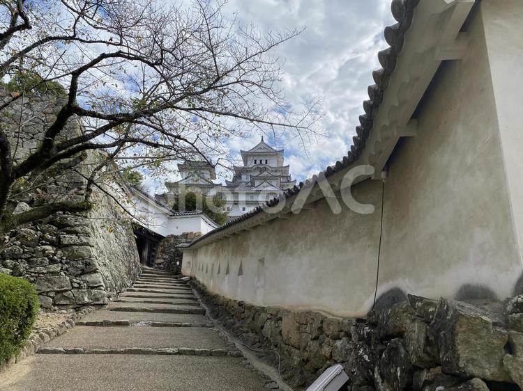 姫路城、階段 姫路,兵庫,姫路城の写真素材