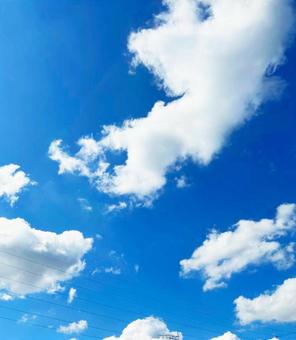 夏の爽やかな青空と白い雲 夏の爽やかな青空と白い雲の写真
