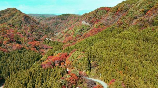 紅葉に燃える山とめがね橋 空撮 紅葉,山,赤の写真素材