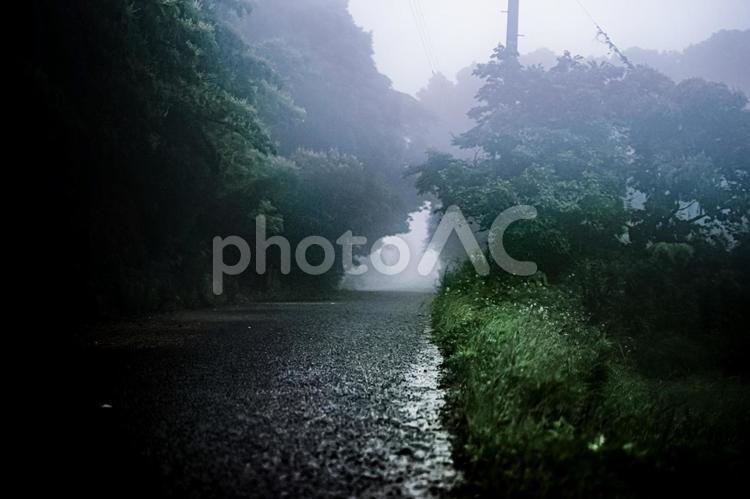 ＜五島の風景＞霧の鬼岳付近の林道の夜明け 林道,山道,峠道の写真素材