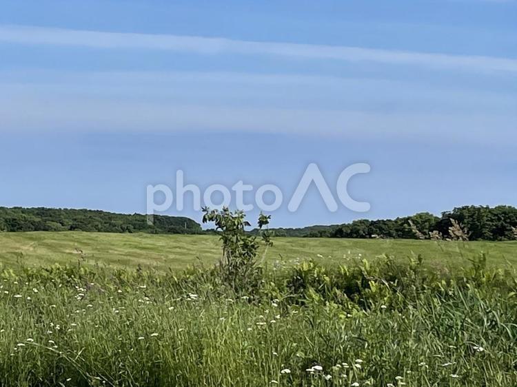 北海道の風景　15670 北海道の風景,風景,山の写真素材