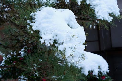 雪の積もった風景 雪の積もった風景の写真